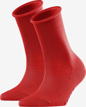 FALKE Socks in Red: front