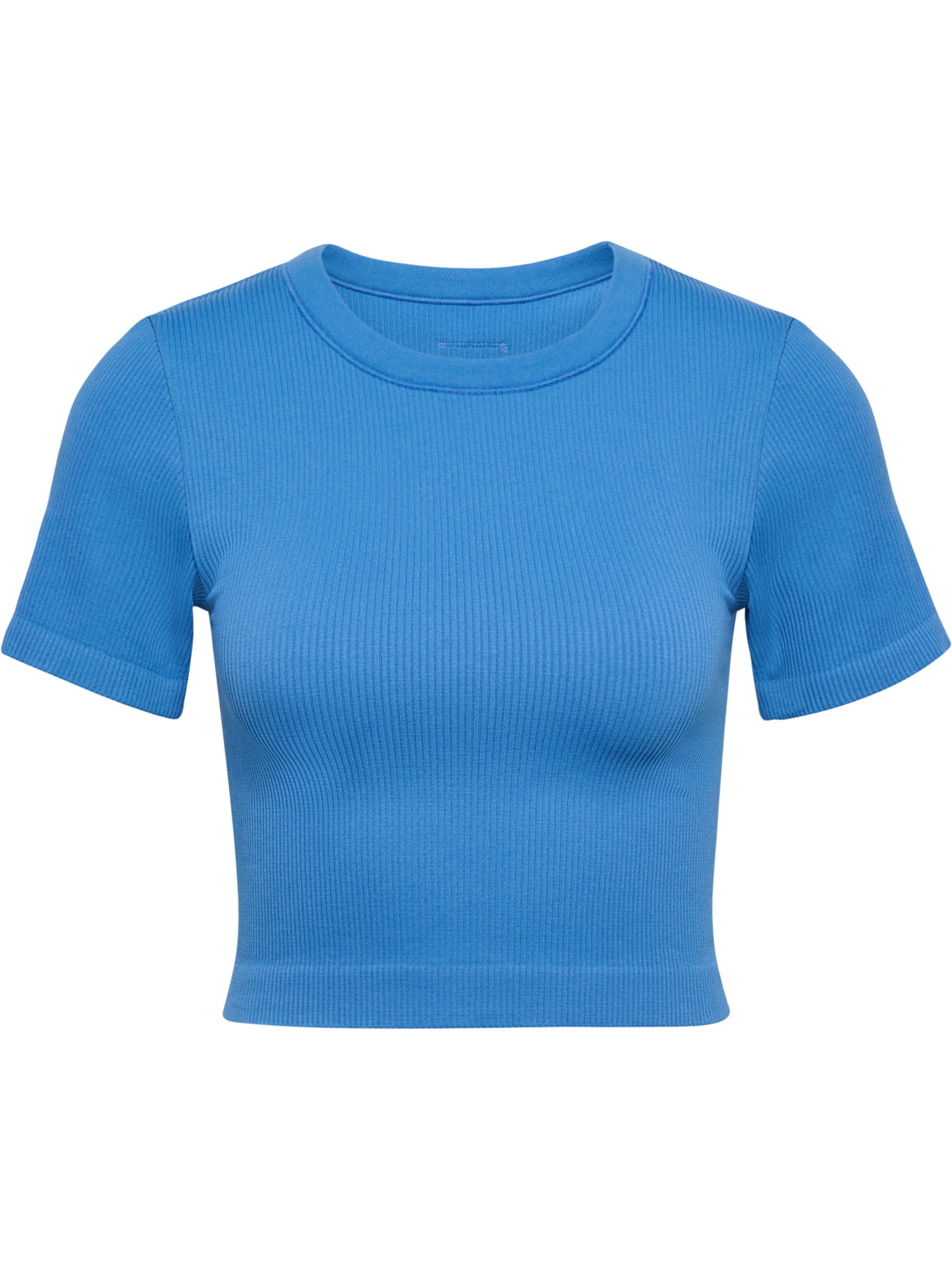 Hummel Funkčné tričko 'Pulse' - Modrá: predná strana