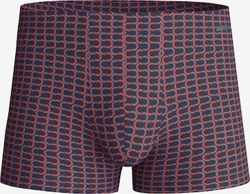 CALIDA Boxershorts 'Grafic Cotton' in Grau: Vorderseite