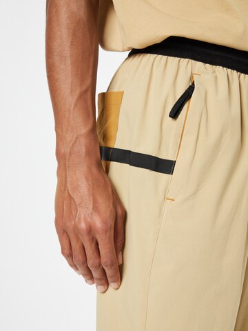 ADIDAS TERREX - regular Pantalón deportivo 'Literflex' en beige