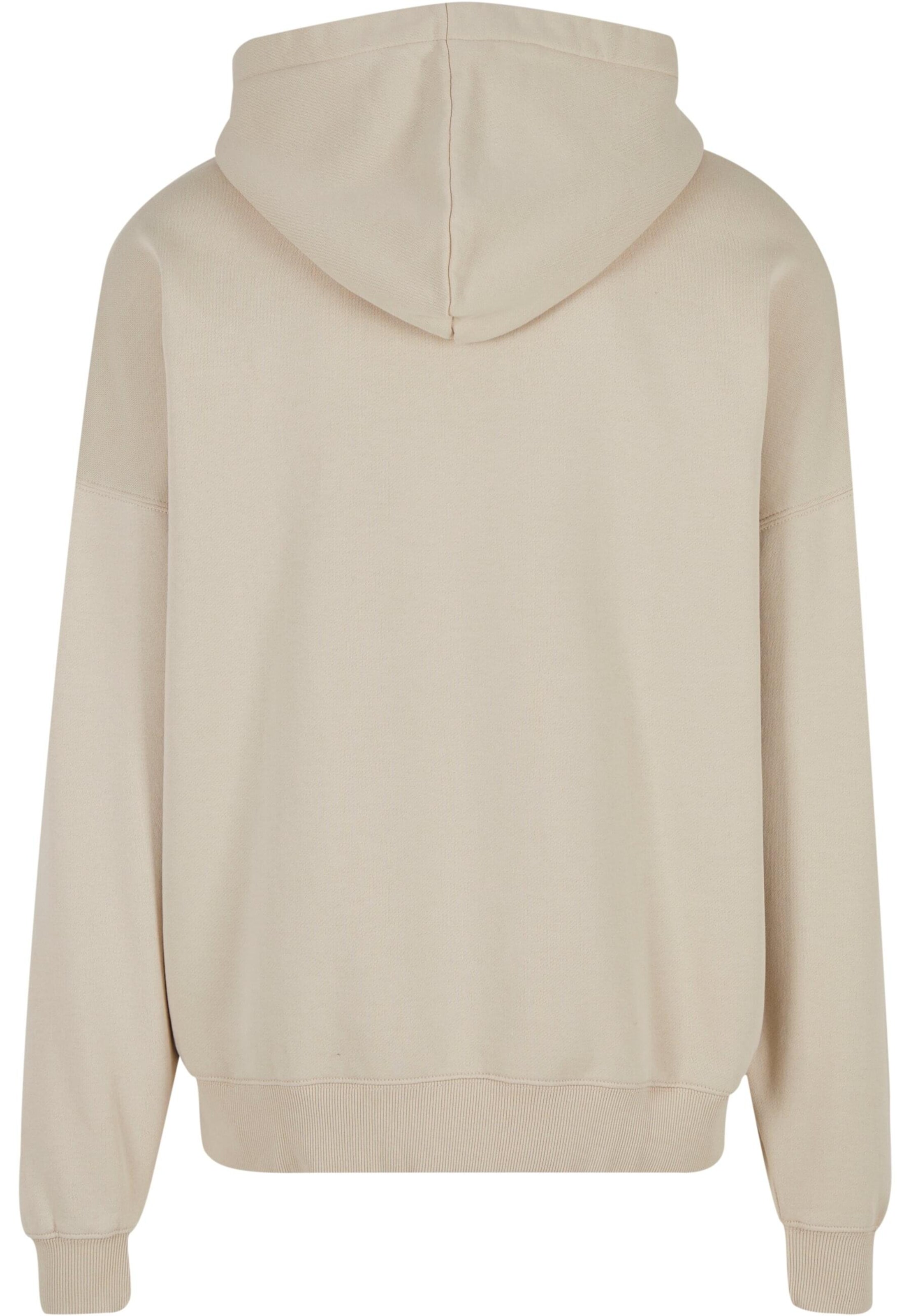 Pegador Sweatshirt 'Leono' in Beige
