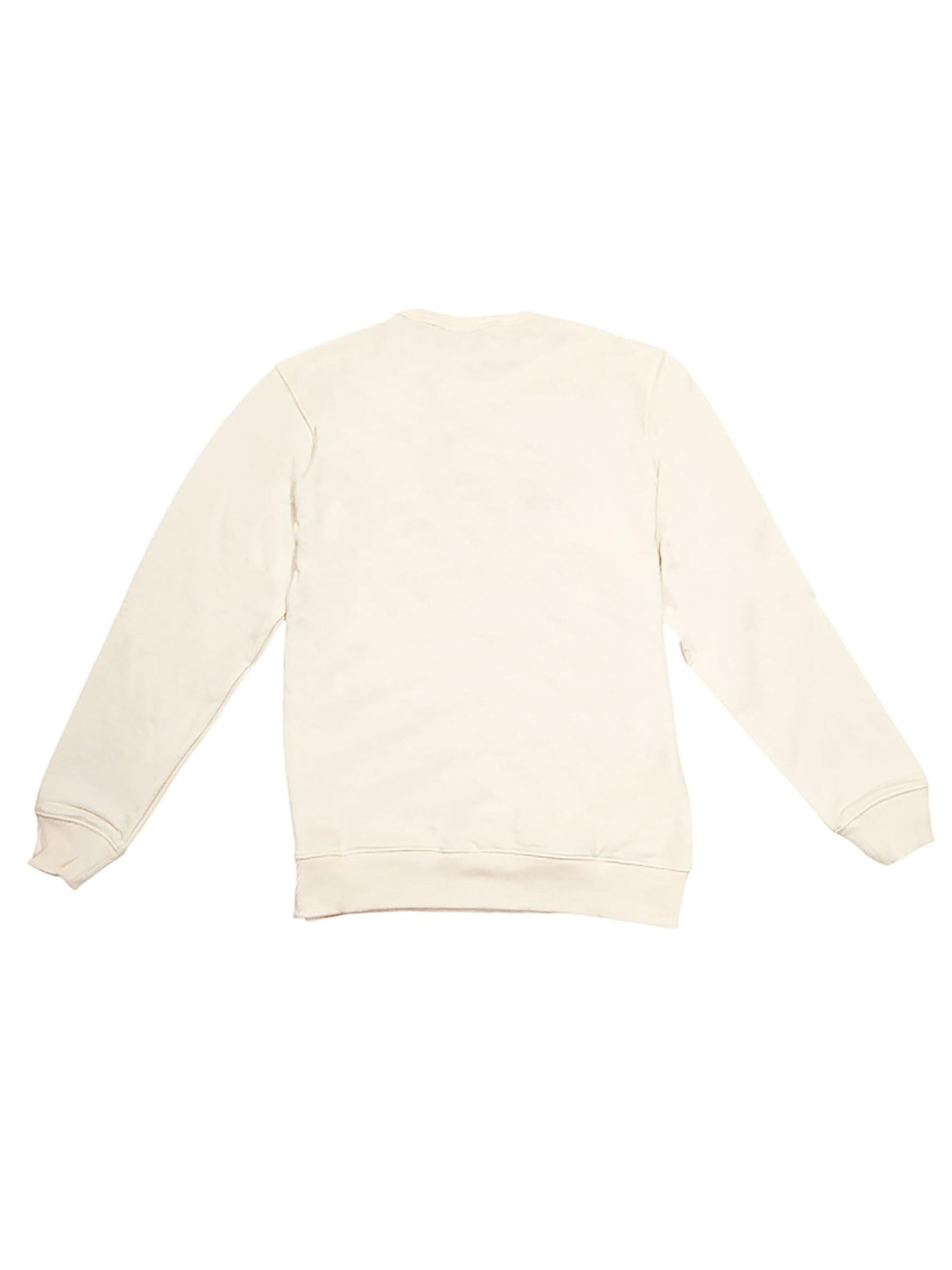 DICKIES Sweatshirt 'Aitkin' in Beige