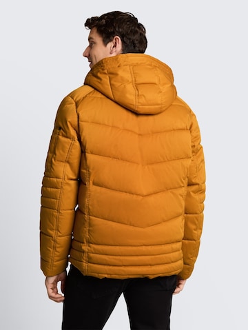 TOM TAILOR Winter jacket in Brown