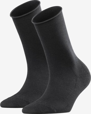 FALKE Socks in Black: front