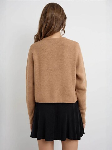 Hiccup Strickjacke in Braun