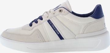 Sneaker bassa 'Nate001' di U.S. POLO ASSN. in bianco: frontale