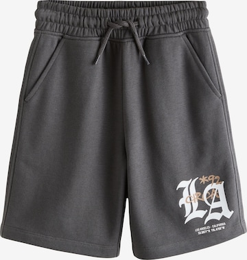 Next Pants in Grey: front