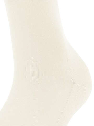 FALKE Knee High Socks 'ClimaWool' in White