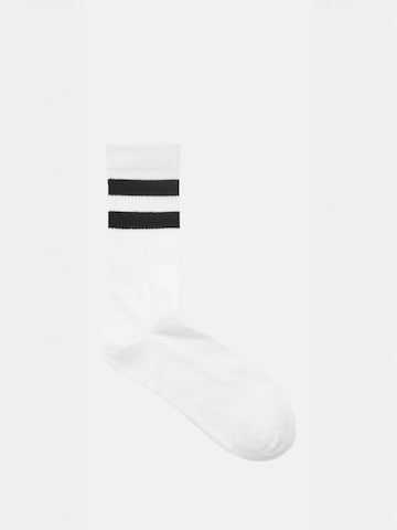 TEESHOPPEN Socks ' Heritage ' in Black