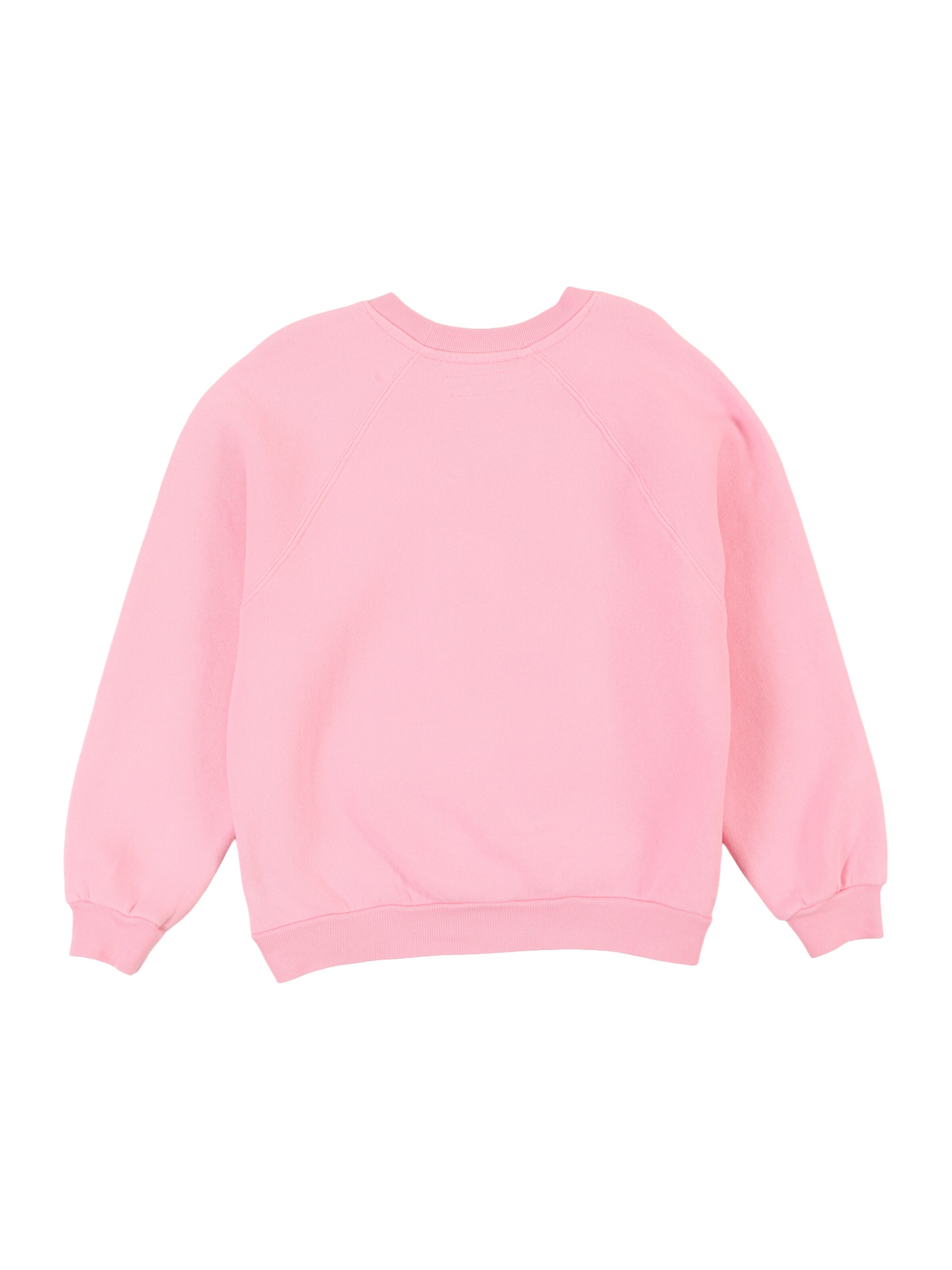 AMERICAN VINTAGE Свитшот 'IZUBIRD' в Ярко-розовый