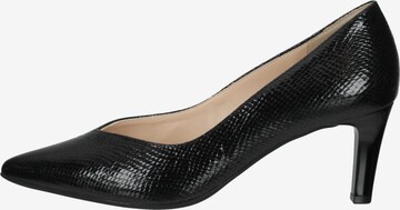 Högl Pumps in Black