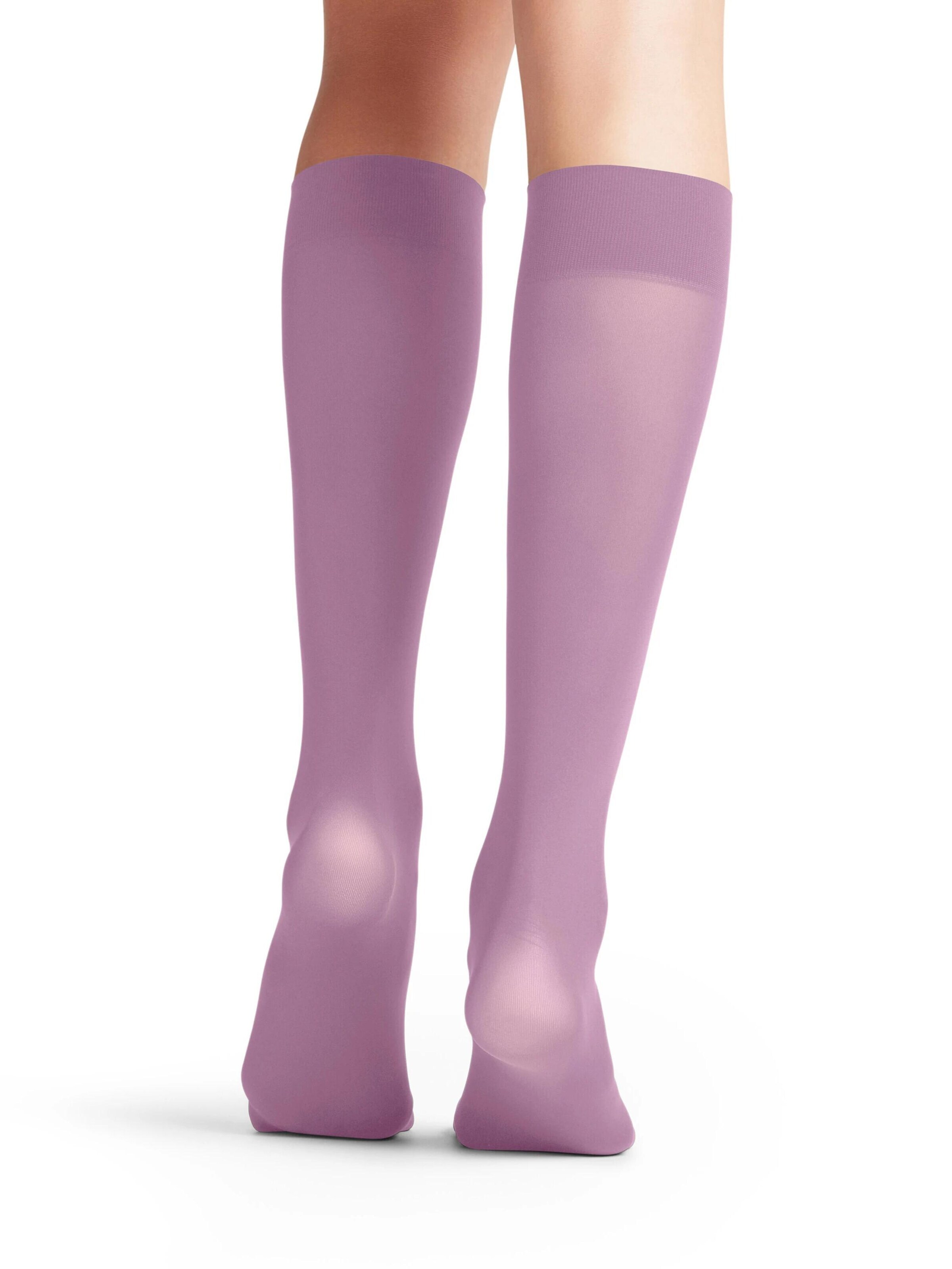 FALKE Overknee Strümpfe 'Pure Matt'‌‌‌‌‌‌‌‌‌‌ in Pink