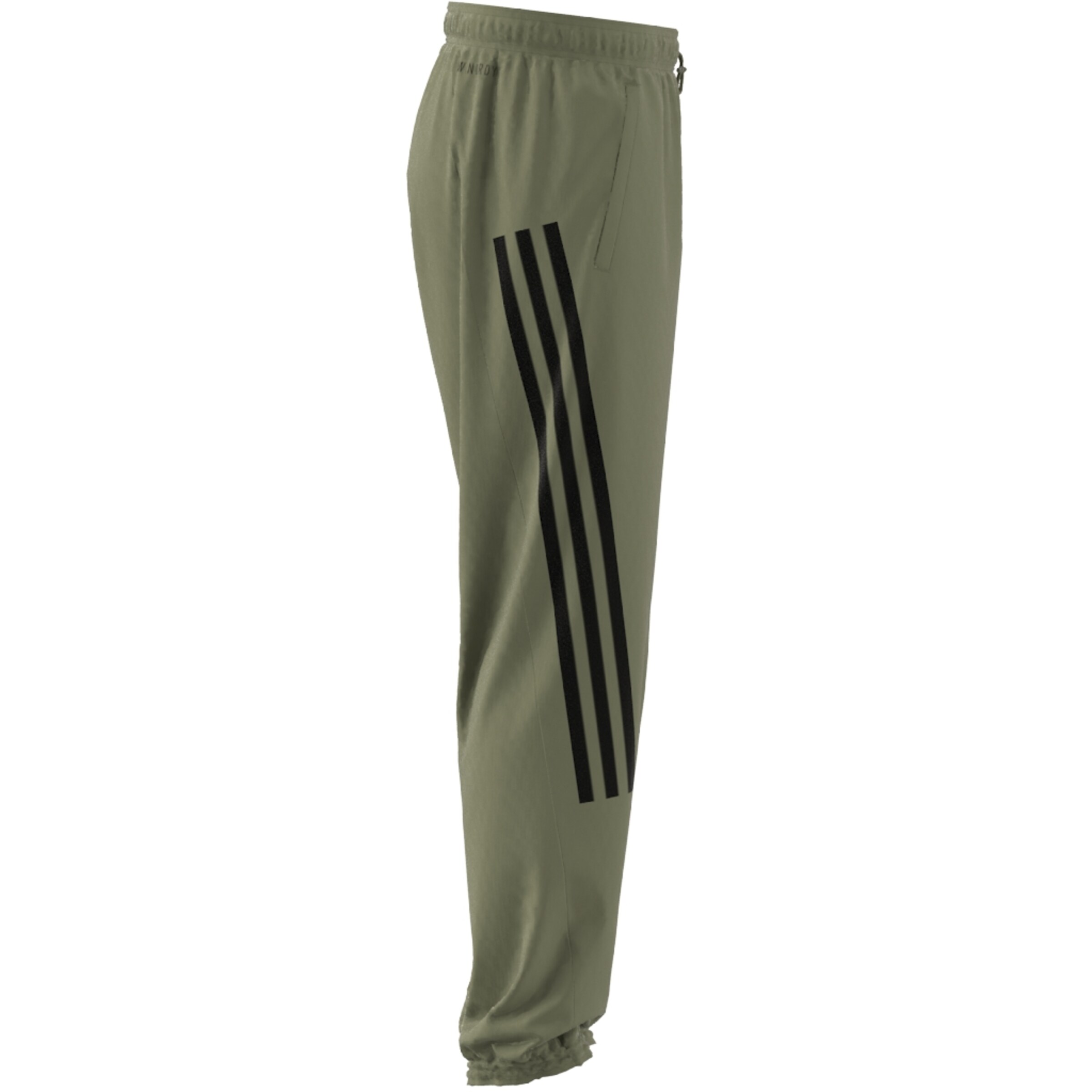 ADIDAS SPORTSWEAR Tapered Workout Pants in Green