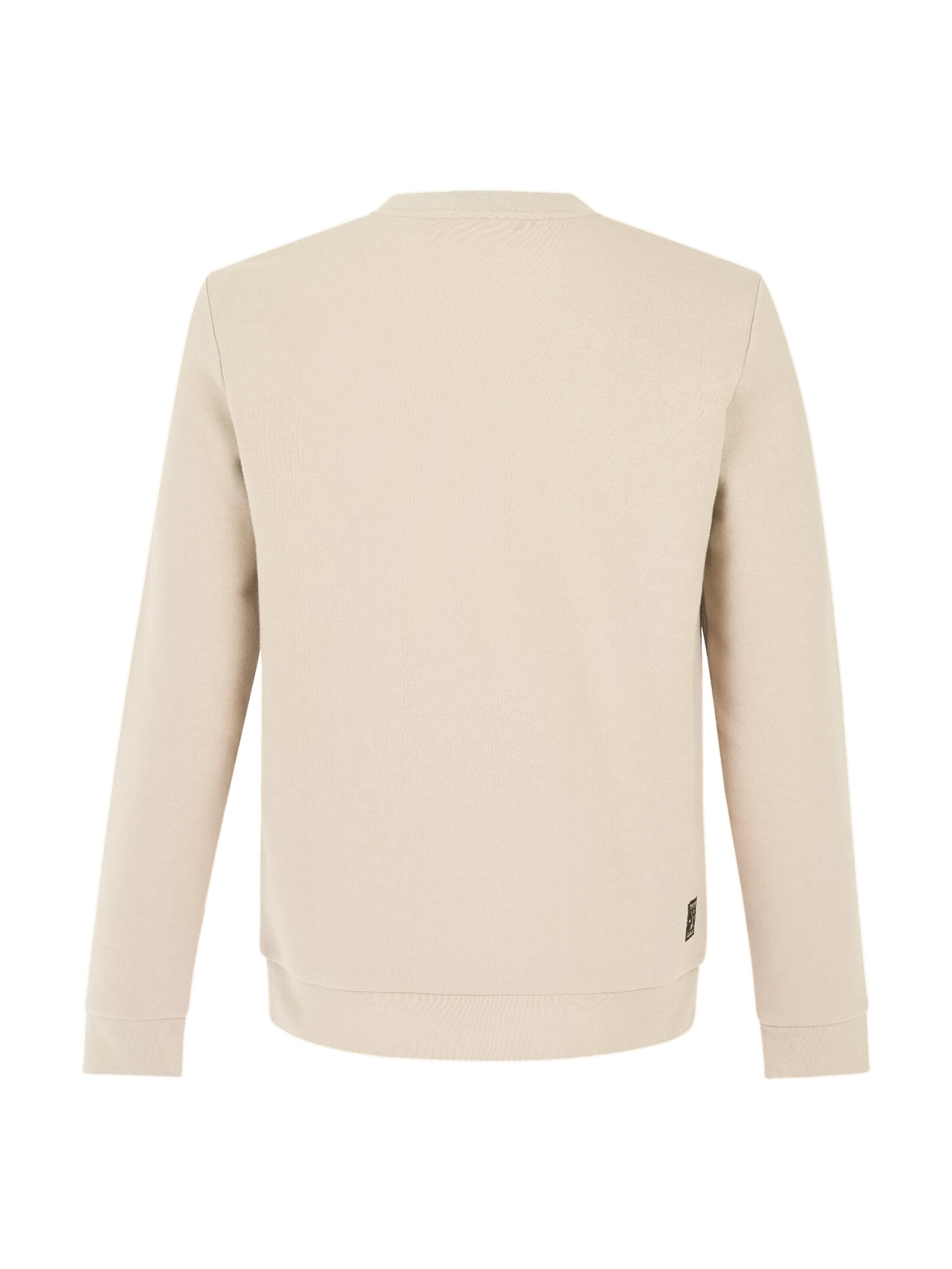 PROTEST Sweater 'PRTVito' in White