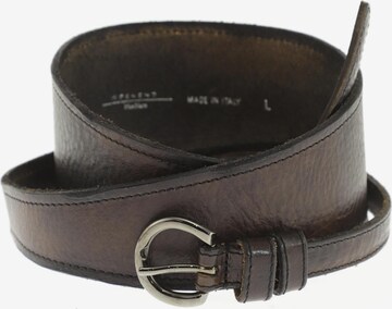 Weekend Max Mara Belt in One size in Brown: front