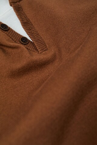 Salsa Jeans Pullover in Braun