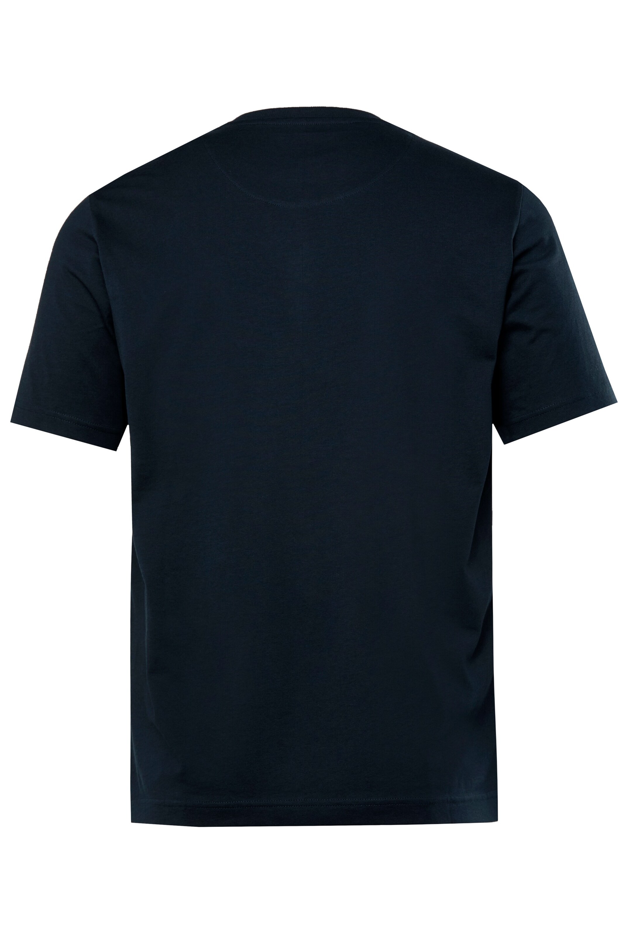 Men Plus Shirt in Blue