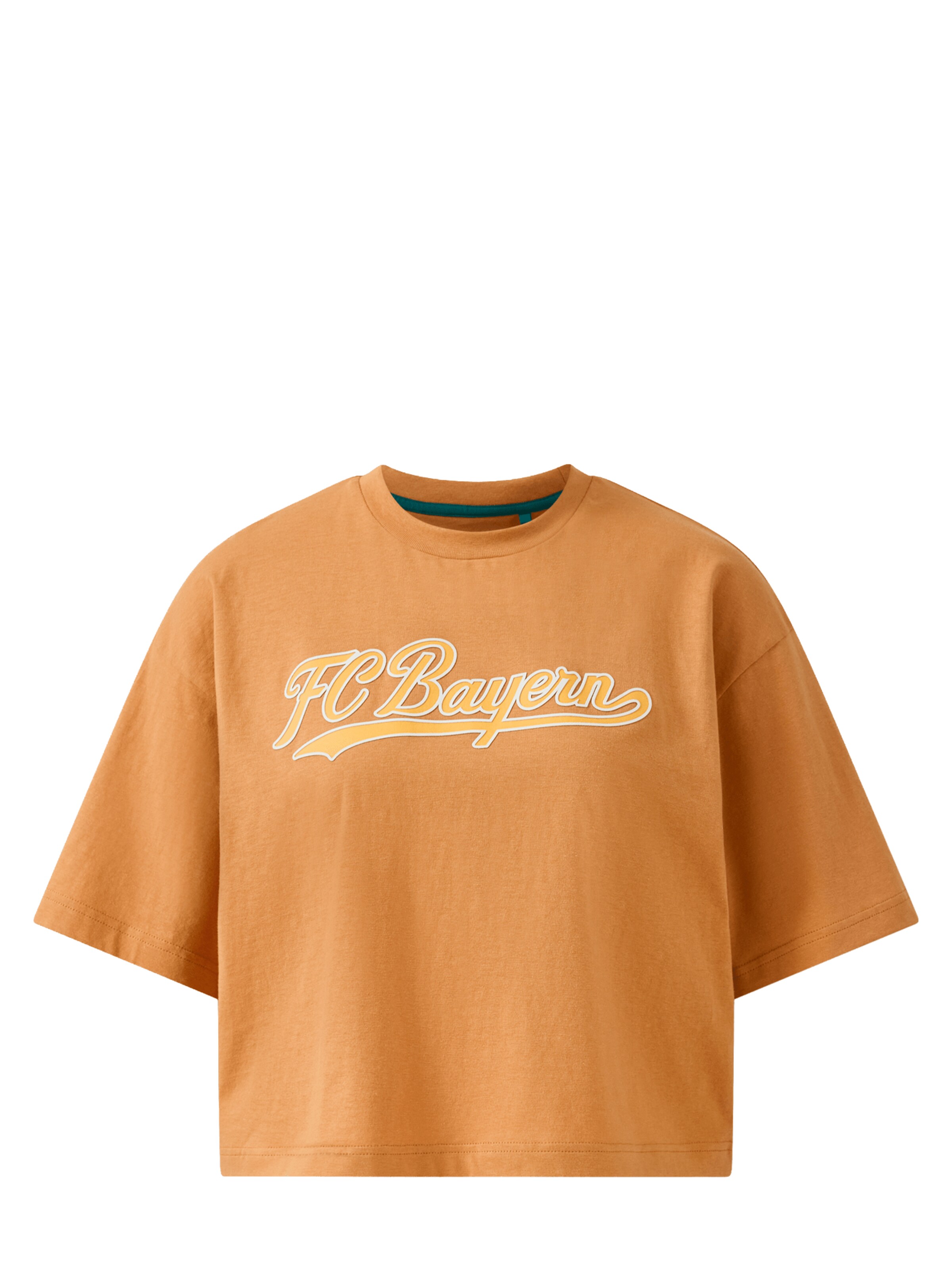 FC BAYERN MÜNCHEN Shirt in Brown: front