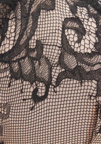 Reggiseno di LASCANA in marrone