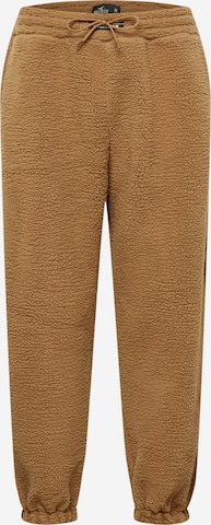 HOLLISTER Pants 'APAC' in Brown: front