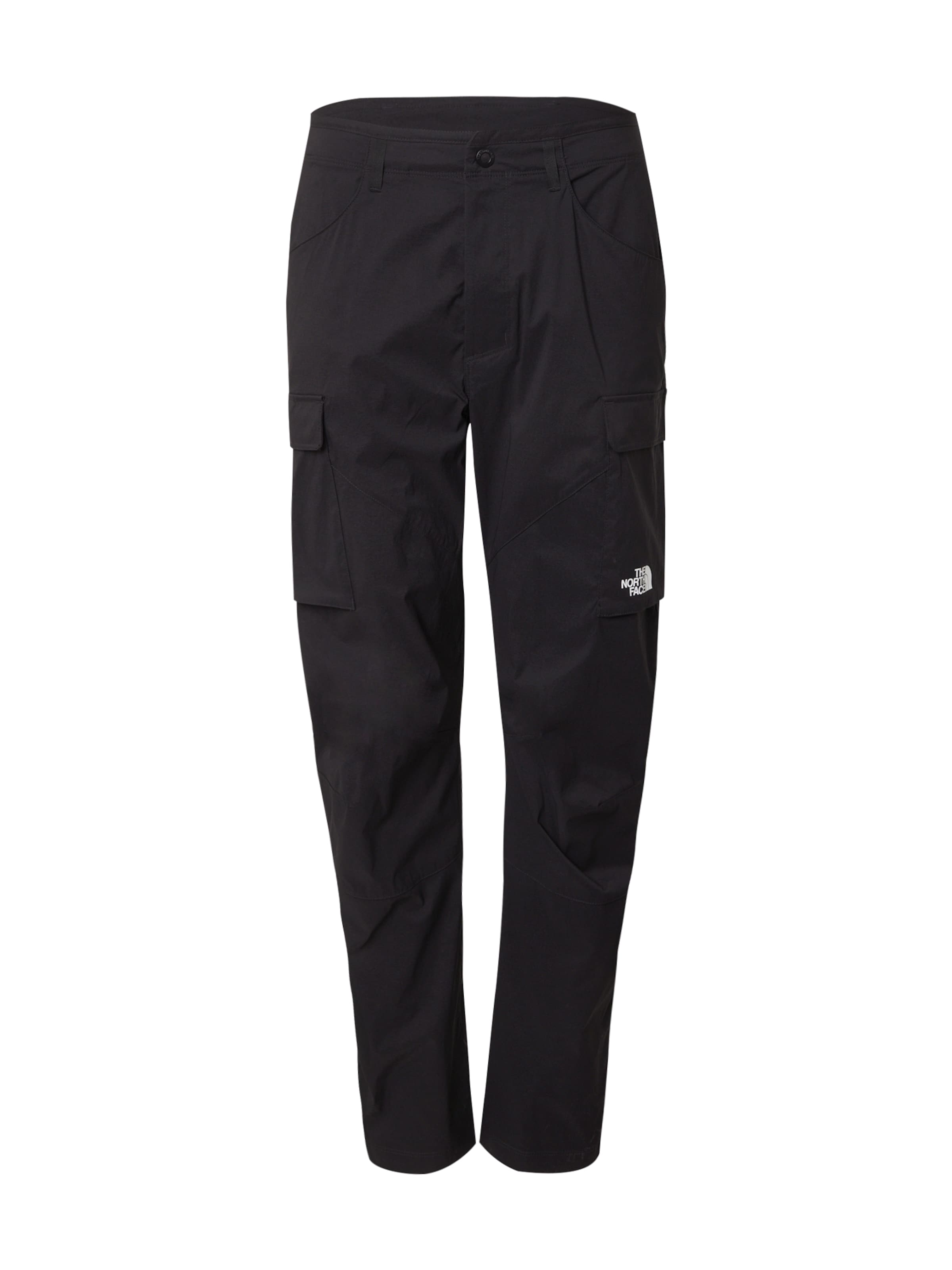 Regular Pantalon outdoor 'EXPLORATION' THE NORTH FACE en noir : devant
