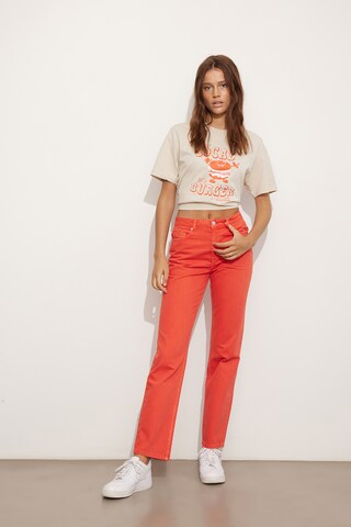 Envii Regular Jeans 'Bree' in Orange