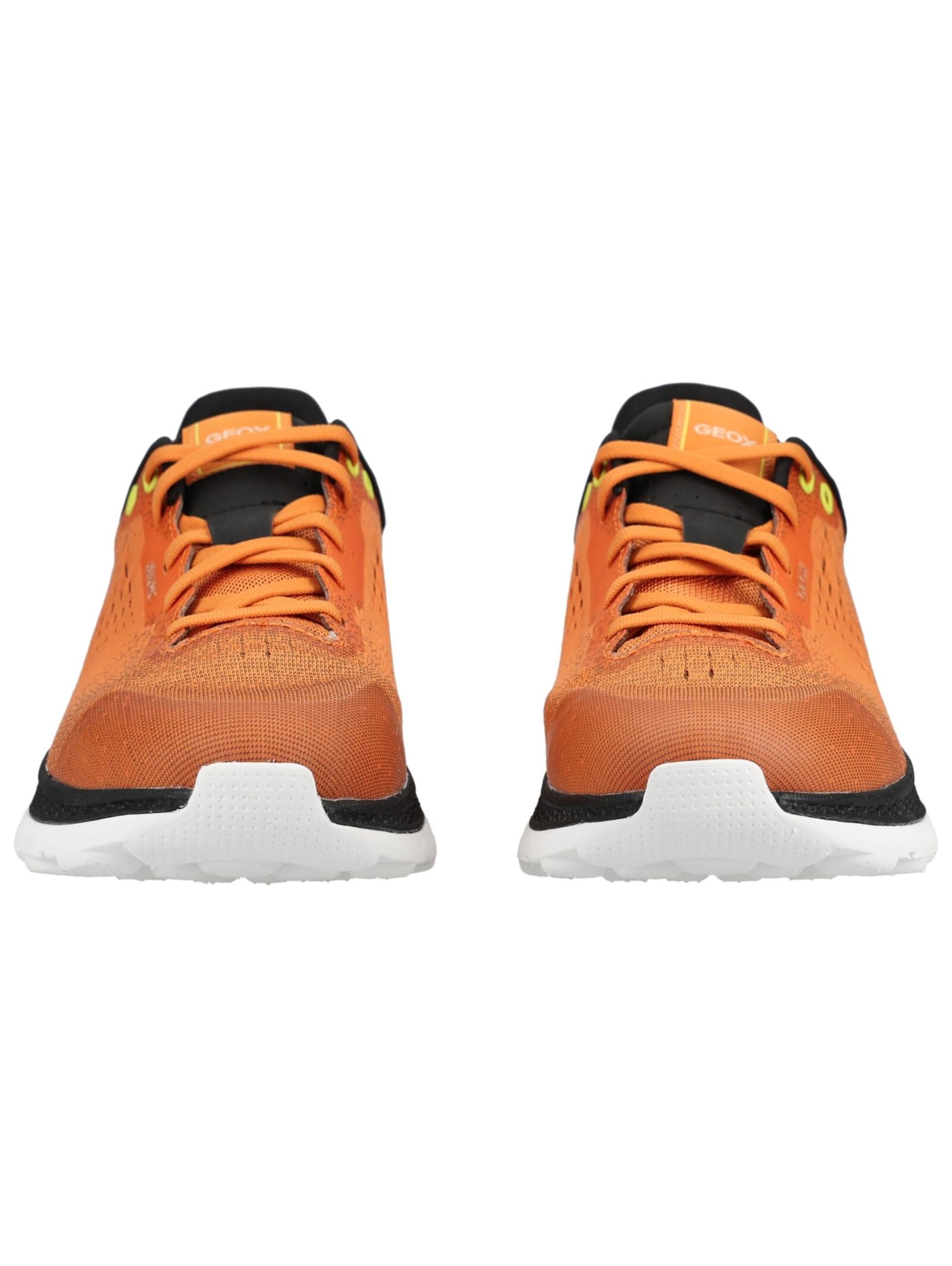Sneaker bassa di GEOX in arancione