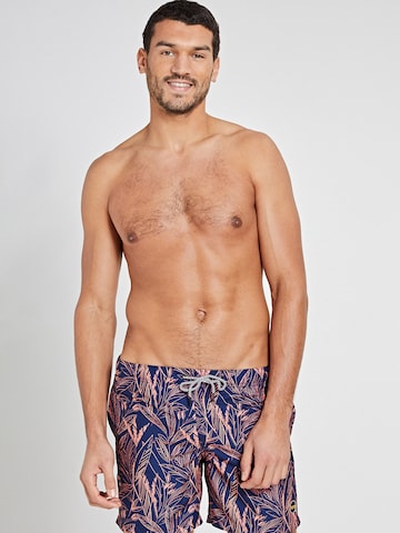 Shiwi Board Shorts in Blue