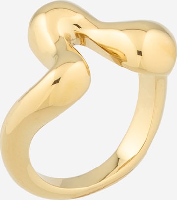 auksinė & Other Stories Žiedas: priekis