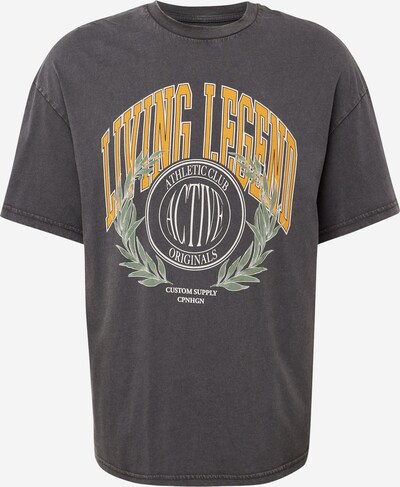 JACK & JONES T-Shirt 'LEGEND' en curry / gris foncé / vert pastel / blanc, Vue avec produit