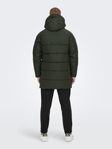 Manteau d’hiver 'CARL' Only & Sons en vert