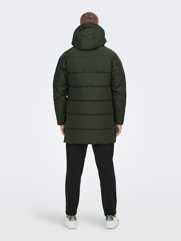 Only & Sons Winter Coat 'CARL' in Green