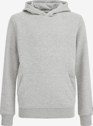 WE Fashion Sweatshirt i grå: framsida