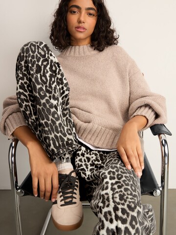 Regular Jean Next en marron