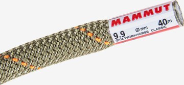 MAMMUT Rope '9.9 Gym Workhorse Classic Rope' in Green: front