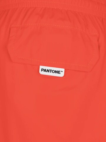 MC2 Saint Barth Badeshorts‌‌‌‌‌‌‌ in Orange