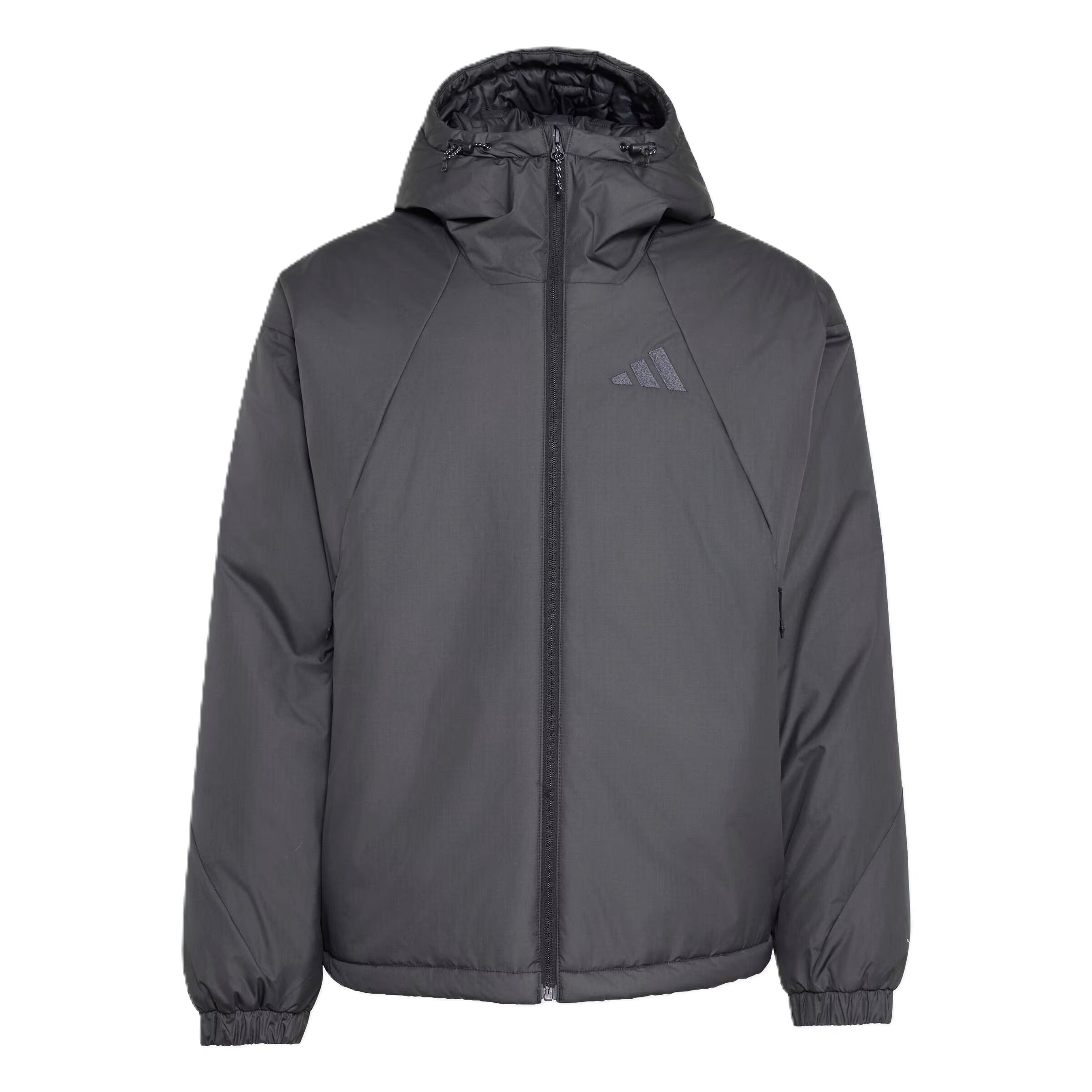 ADIDAS TERREX Outdoorjacke in Schwarz: Vorderseite