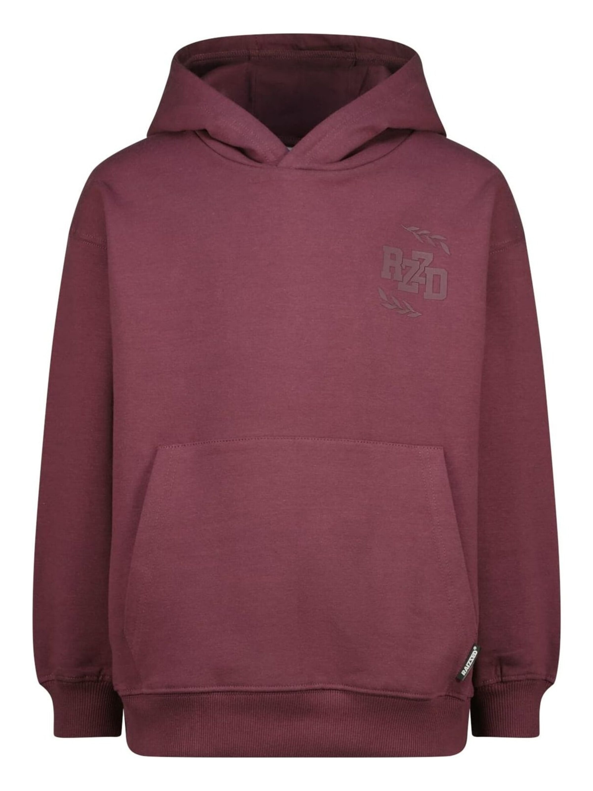 Raizzed Sweatshirt in Lila: voorkant