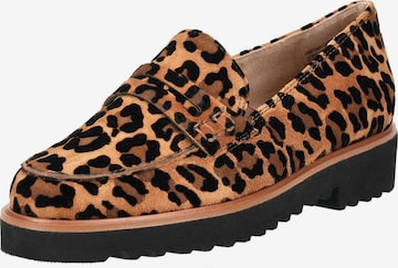 Chaussure basse Paul Green en marron : devant