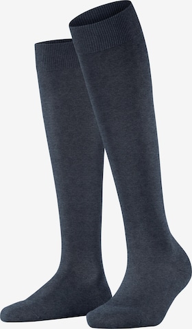 FALKE Knee High Socks 'ClimaWool' in Blue: front