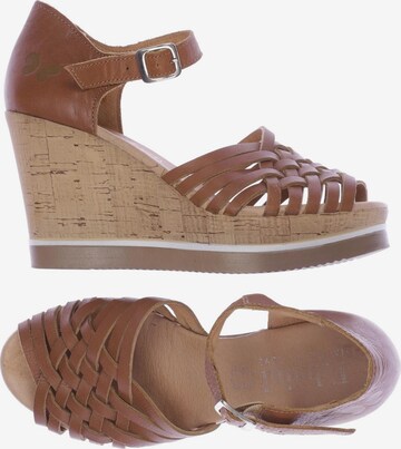 FELMINI Sandals & High-Heeled Sandals in 37 in Brown: front