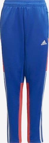 ADIDAS PERFORMANCE Regular Workout Pants 'Condivo 22 Predator' in Blue: front