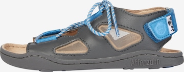 Affenzahn Sandale Leder 'HUND' in Grau: front