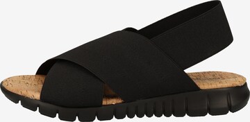 Rapisardi Sandals in Black