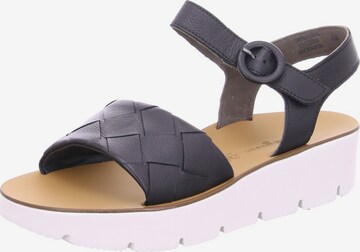 Paul Green Strap Sandals in Black: front