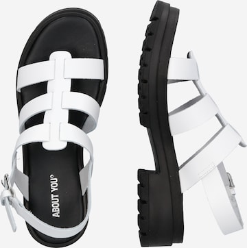 ABOUT YOU Sandals 'Mary' in White