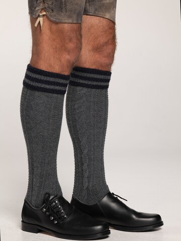 SPIETH & WENSKY Lace-up shoe 'Haferl Feldkirchen' in Grey: front