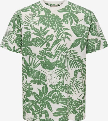 smėlio Only & Sons Marškinėliai 'ONSPERRY': priekis