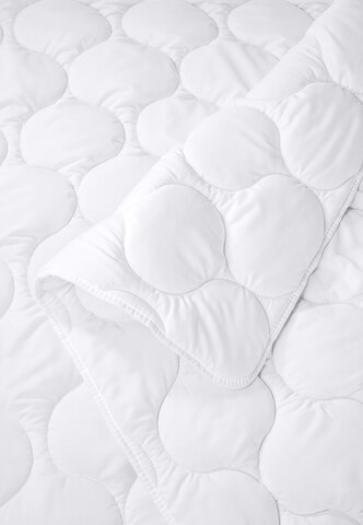 uncover by SCHIESSER Blankets 'Chelsea' in White