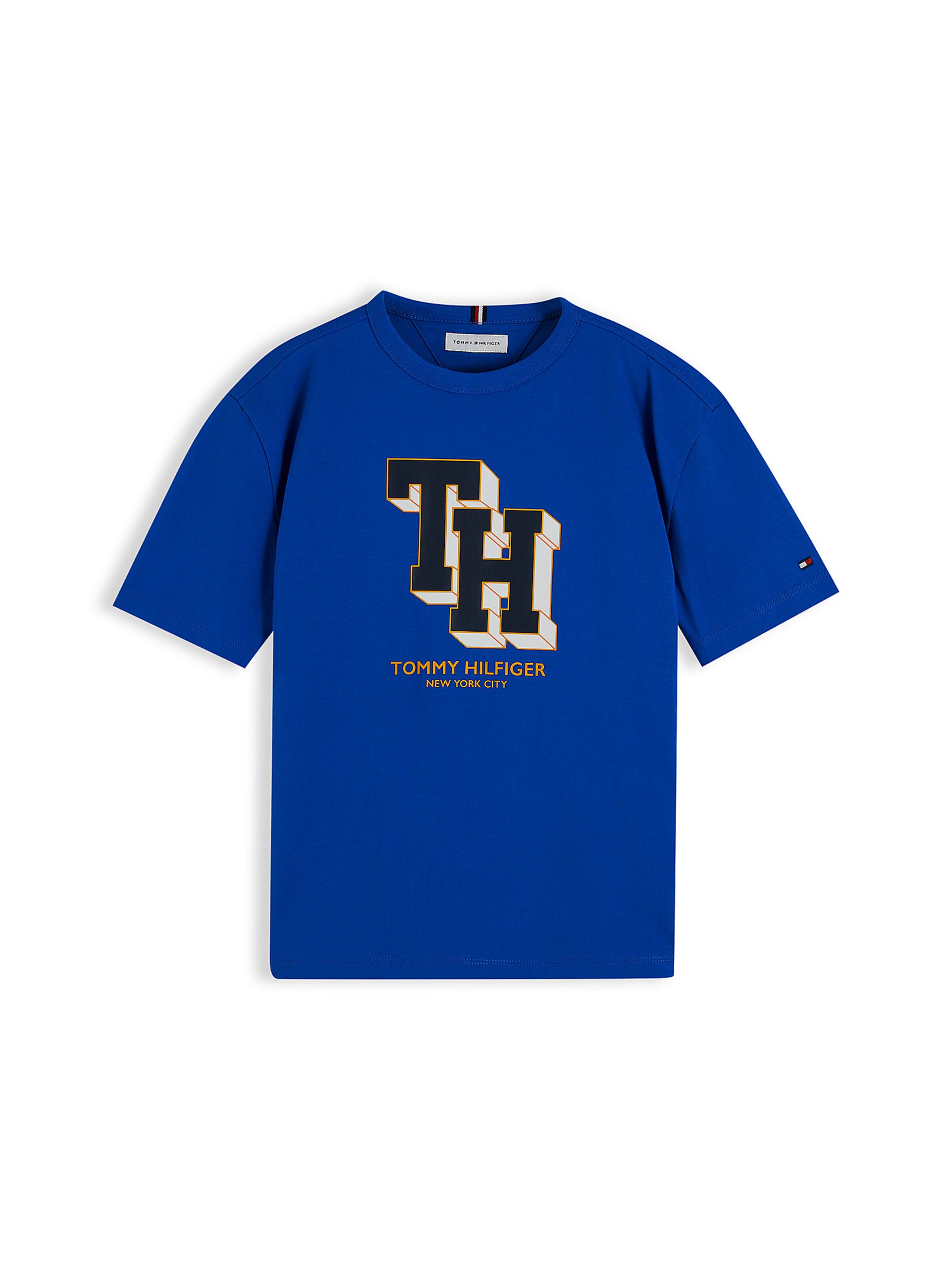 TOMMY HILFIGER Shirt in Blue: front